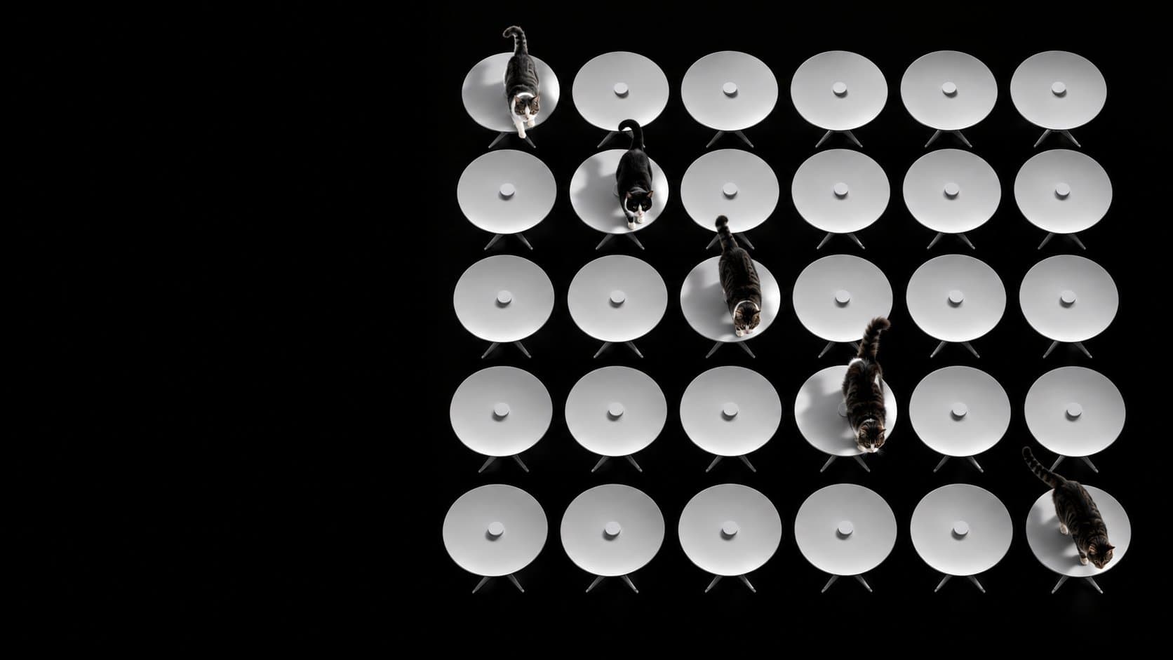 Thirty Starlink dishes seen from above, a few with a cat