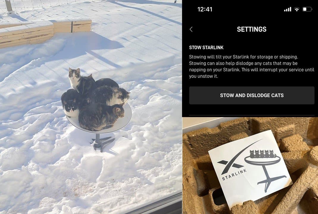 The original 2021 photo of five cats on a Starlink dish, the app's Stow and Dislodge Cats setting, and the five-cat sticker